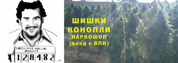 ГАЛЛЮЦИНОГЕННЫЕ ГРИБЫ Аркадак