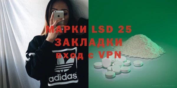 ГАЛЛЮЦИНОГЕННЫЕ ГРИБЫ Аркадак