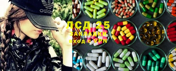 ГАЛЛЮЦИНОГЕННЫЕ ГРИБЫ Аркадак