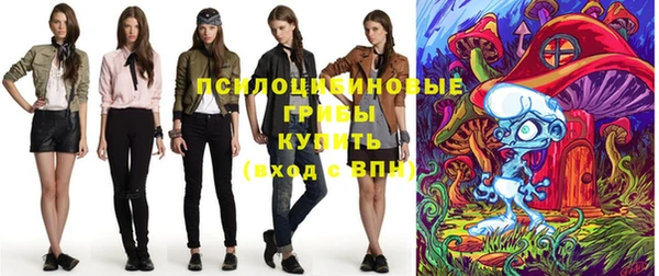 ГАЛЛЮЦИНОГЕННЫЕ ГРИБЫ Аркадак