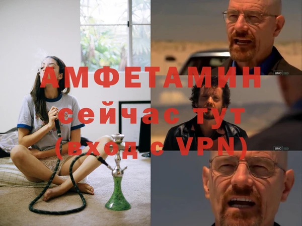 ГАЛЛЮЦИНОГЕННЫЕ ГРИБЫ Аркадак