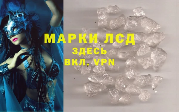 ГАЛЛЮЦИНОГЕННЫЕ ГРИБЫ Аркадак