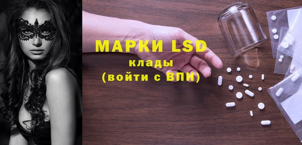 ГАЛЛЮЦИНОГЕННЫЕ ГРИБЫ Аркадак