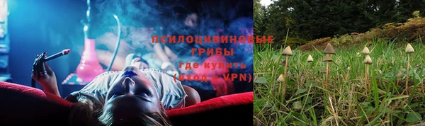 прущая мука Арсеньев